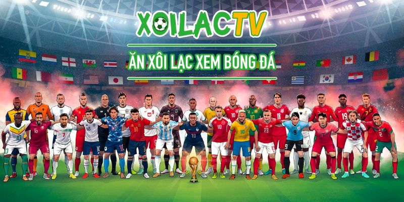 Xôi lạc TV và những thông tin cơ bản cần biết